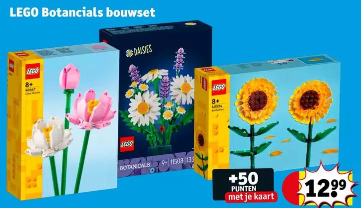 Lego - LEGO Botanicals bou set