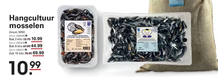 Hangcultuur mosselen