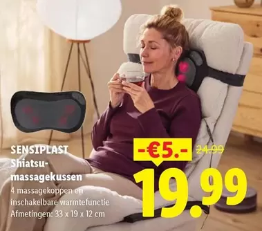 Shiatsu-massagekussen