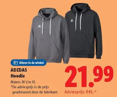 Adidas - Hoodie