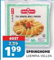 TYJ SPRING ROLL PASTRY