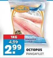 Pangasius Filet