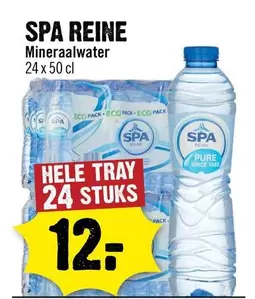 Spa - SPA REINE Mineraalwater