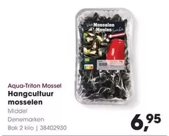 Aqua-Triton Mossel Hangcultuur mosselen