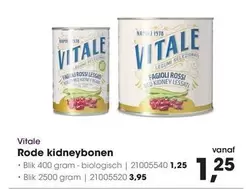 RED - Rode kidneybonen
