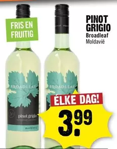 PINOT GRIGIO
