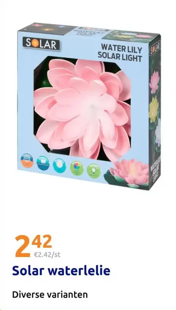 Solar - Water Lily  Light