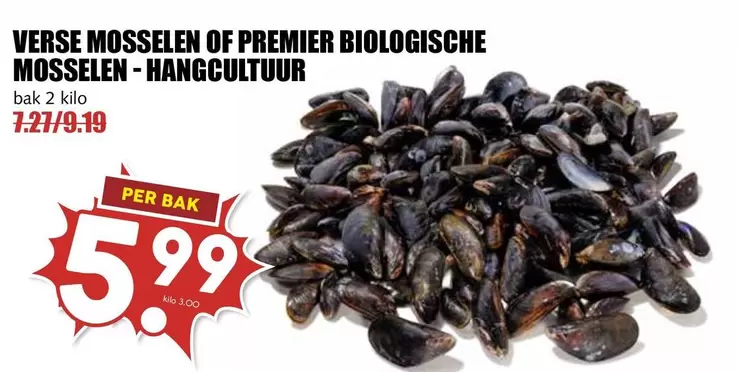 VERSE MOSSELEN OF PREMIER BIOLOGISCHE MOSSELEN - HANGGCULTUUR