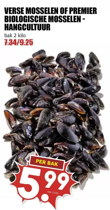 VERSE MOSSALEN OF PREMIER BIOLOGISCHE MOSSALEN - HANGCULTUUR
