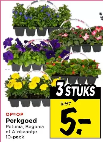 Perkgoed Petunia, Begonia
