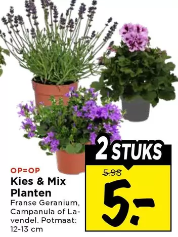Mix - Kies &  Planten