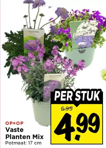 Mix - Vaste Planten