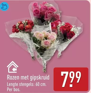 Rozen met gipskruid