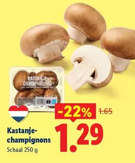 Kastanjechampignons