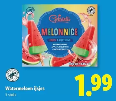 GE - Watermeloen ijsjes