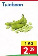 Tuinboon