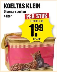 KOELTAS KLEIN