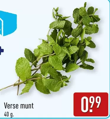 Verse munt