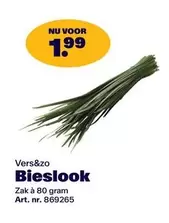 Bieslook Zak
Art. nr. 869265