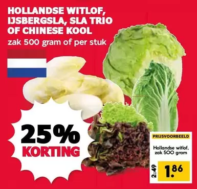 HOLLANDSE WITLOF, IJSBERGSLA, SLA TRIO OF CHINESE KOOL