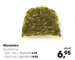 Mosselen Bouchot net - Zak 1 kilo | 38400200