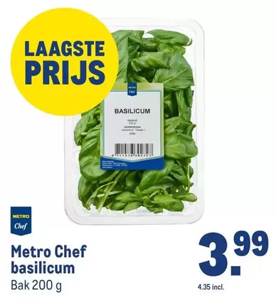 Chef - Basilicum
