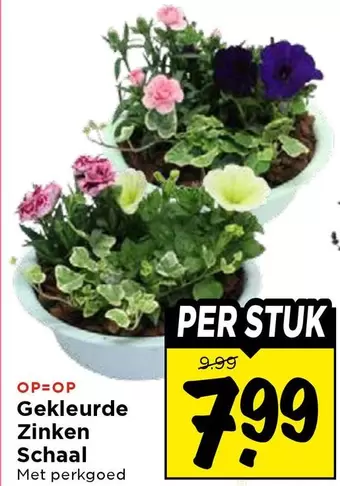 Gekleurde Zinken Schaal