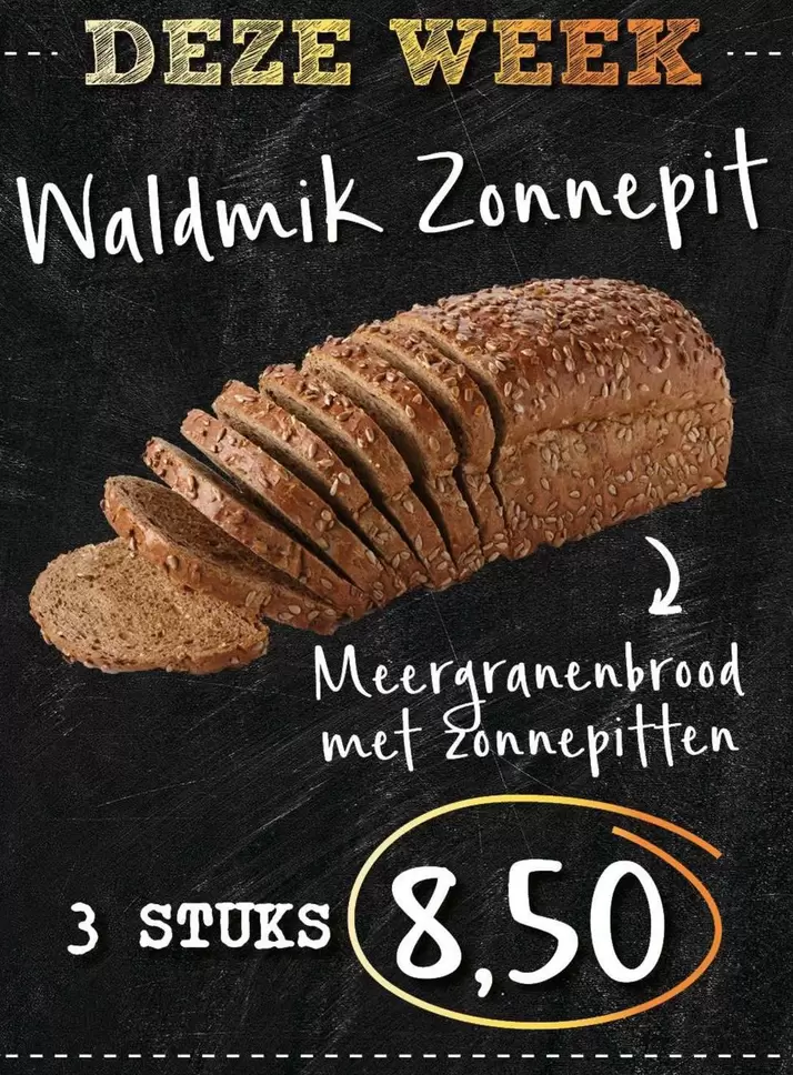 Waldmik Zonnepit