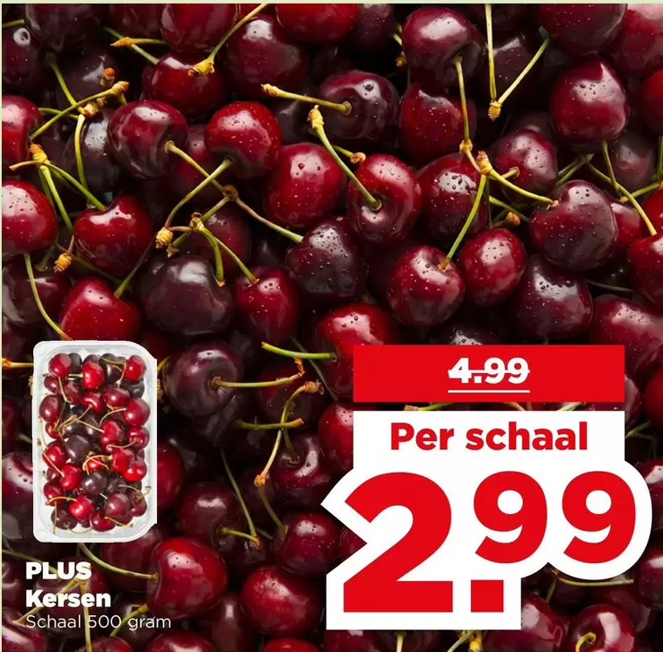 Kersen