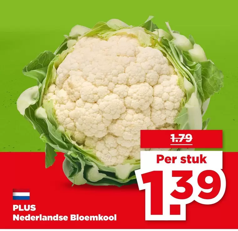 Nederlandse Bloemkool