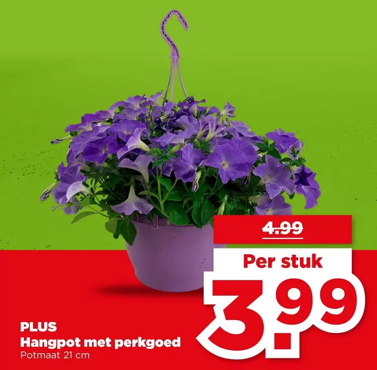 Hangpot met perkgoed
