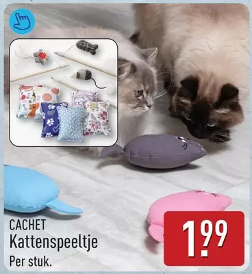 Kattenspeeltje