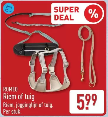 sm - Riem of tuig