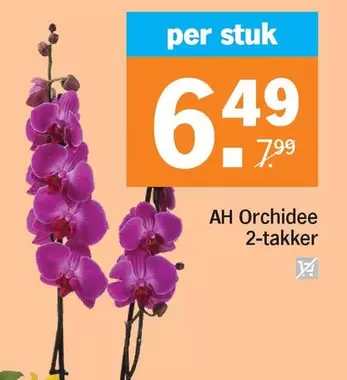 Ah - Orchidee 2-takker