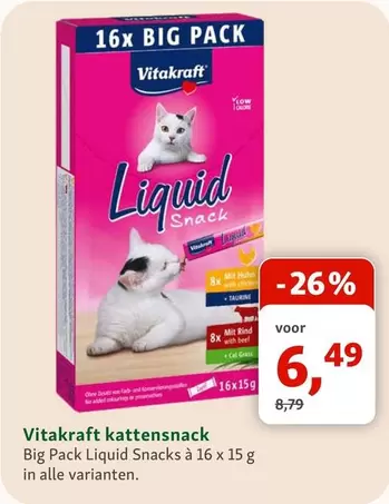 Big - Liquid Snack