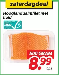 Zalmfilet Met Huid
