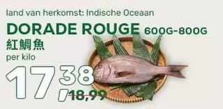 DORADE ROUGE 600G-800G