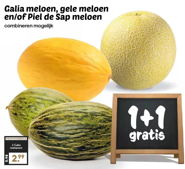 De - Galia meloen, gele meloen en/of Piel de Sap meloen