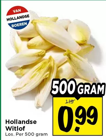 Hollandse Witlof