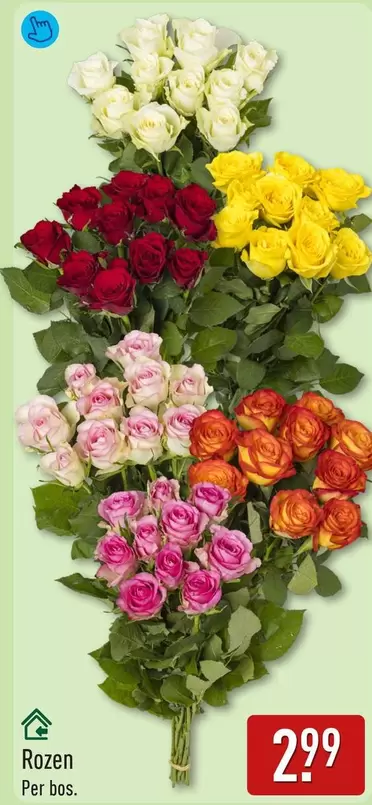 Rozen