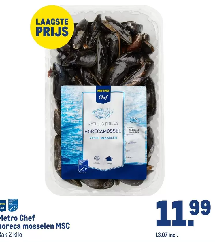 Chef - horecamosselen MSC