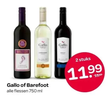Gallo of Barefoot