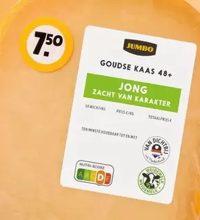 Jumbo - Goudse Kaas 48+