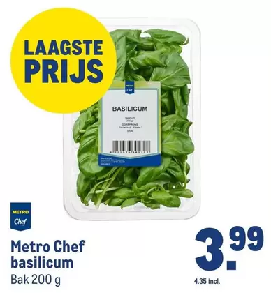 Chef - Basilicum