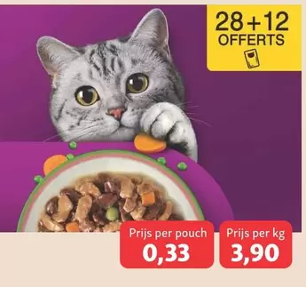Cat Food