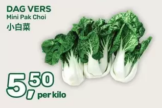 Mini Pak Choi
