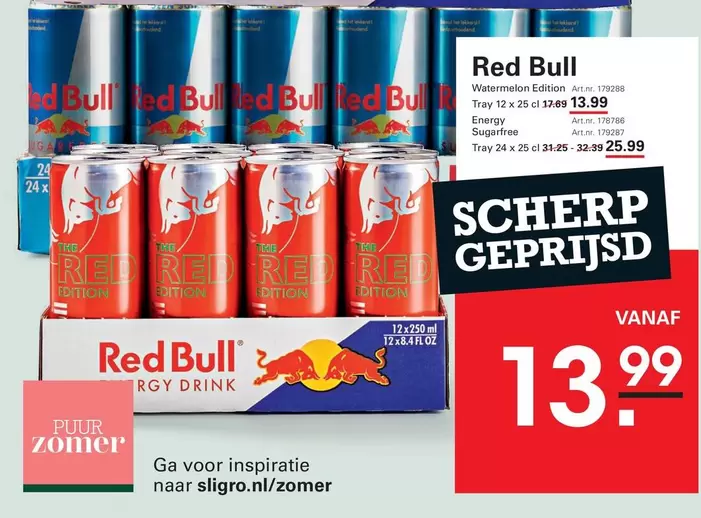 Red Bull - Watermelon Edition