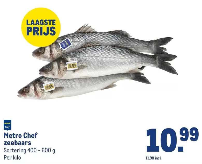 Chef - Zeebaars