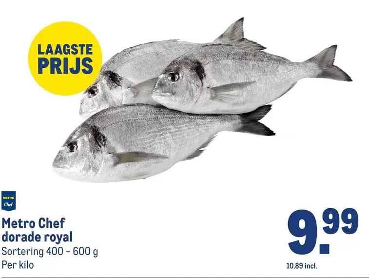 Chef - Dorade Royal
