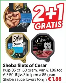 Sheba filets of Cesar